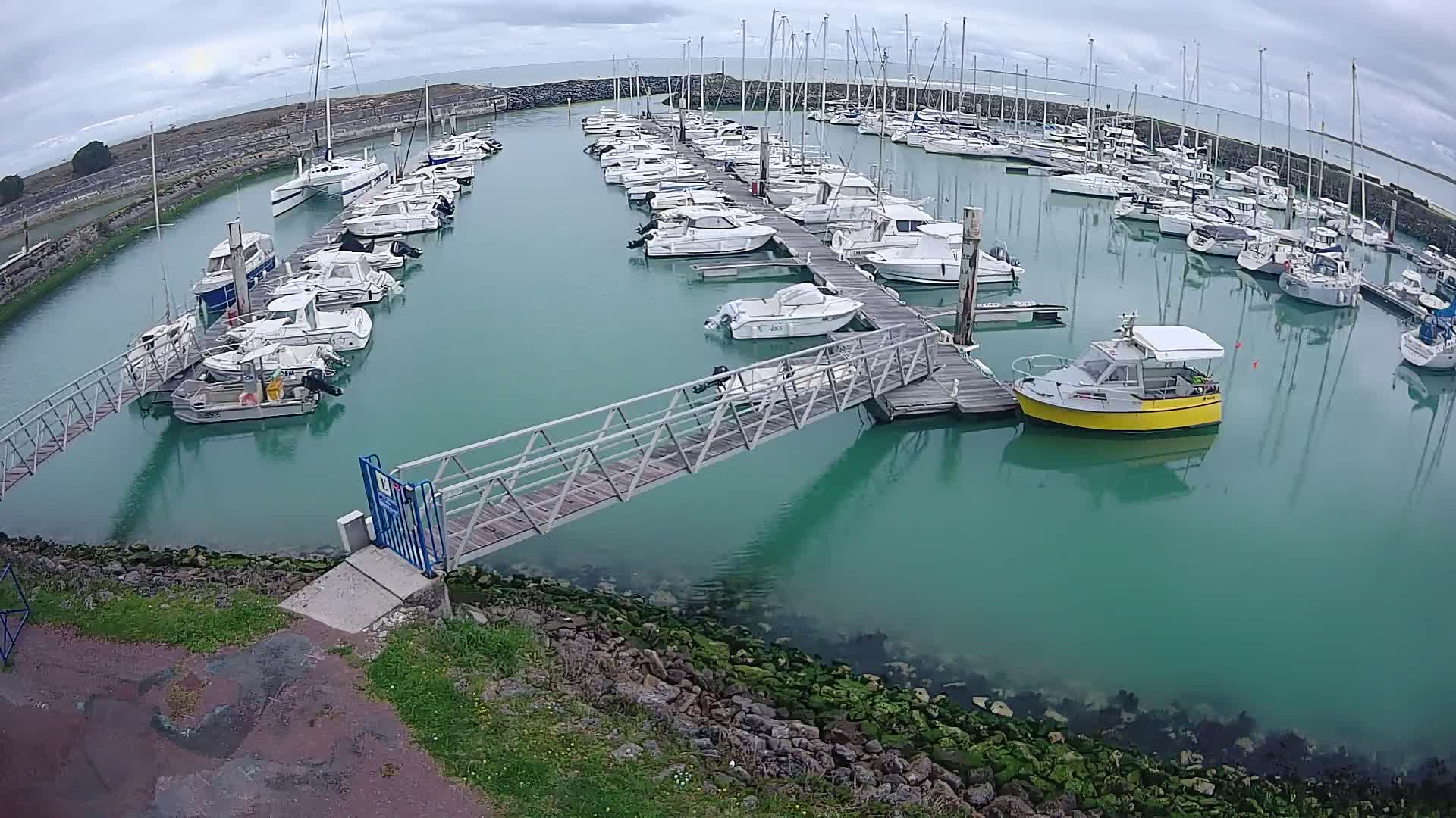A marina with numerous boats docked along piers in calm, teal-colored water under an overcast sky.