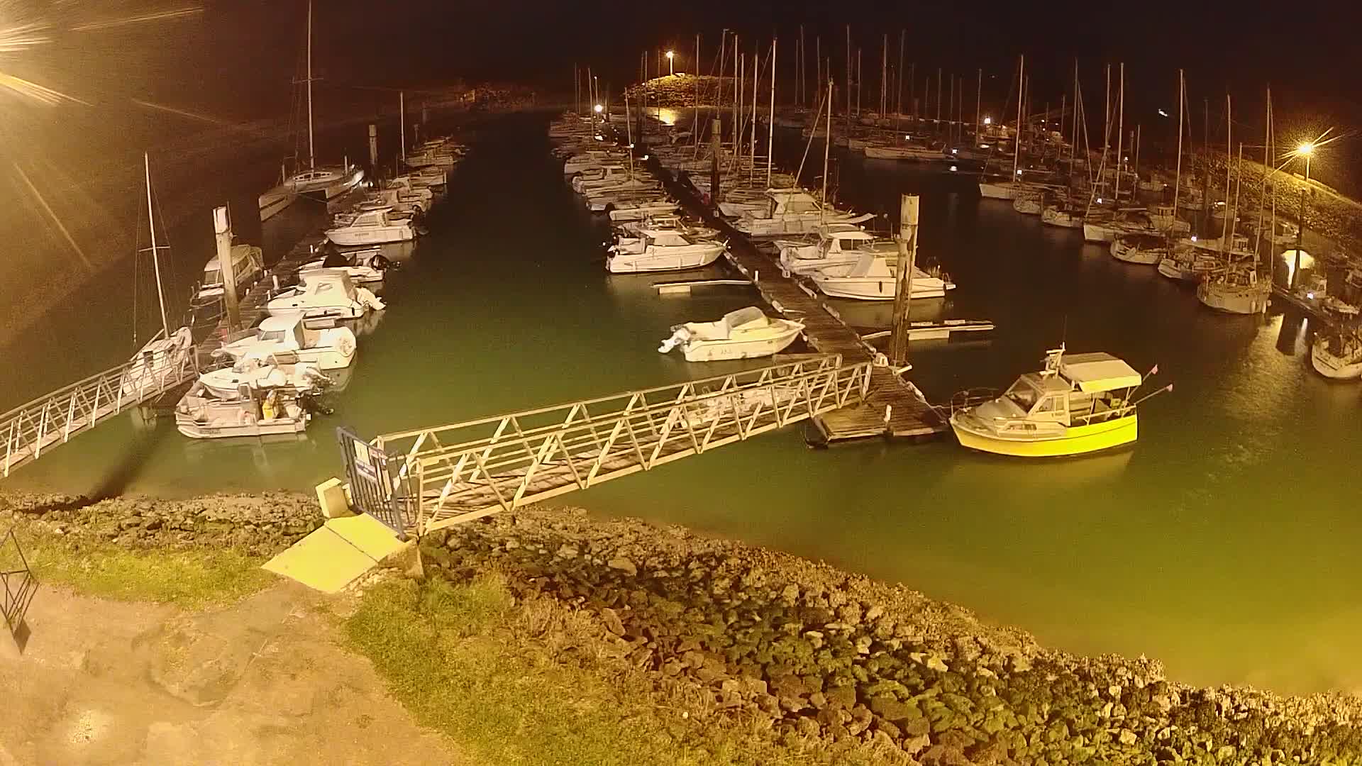 Numerous boats are docked at a marina at night, illuminated by artificial lights, with calm, greenish water.