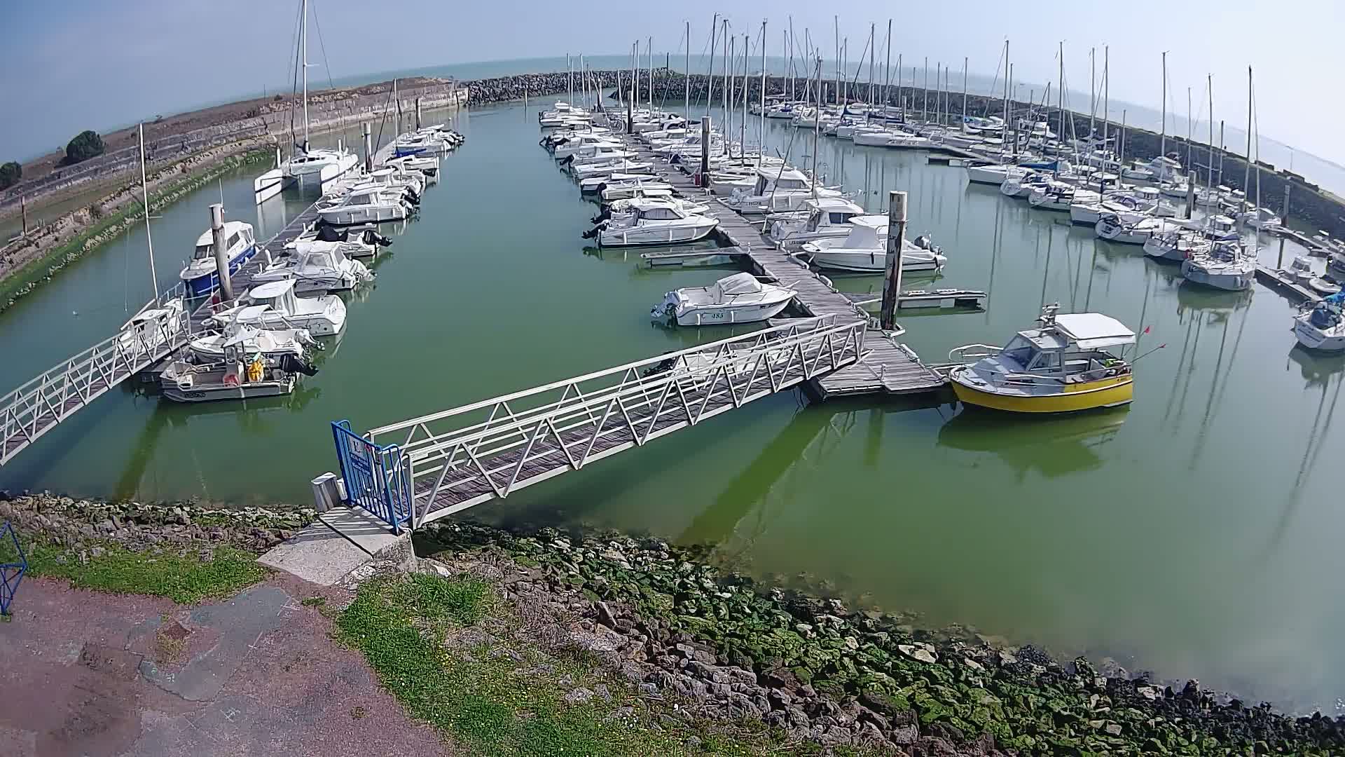 A marina filled with numerous boats of varying sizes is seen on a sunny day, with calm, greenish water and a metal walkway leading to a dock.