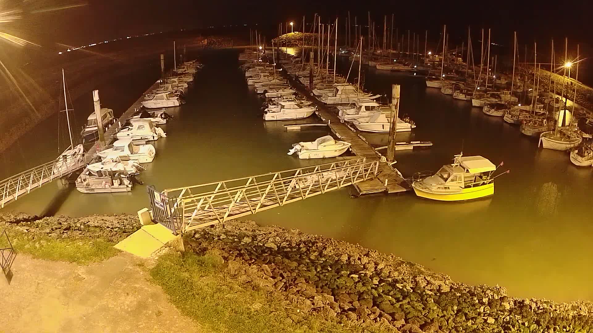 At night, numerous boats are moored at a marina, illuminated by artificial lights, in calm, murky water.