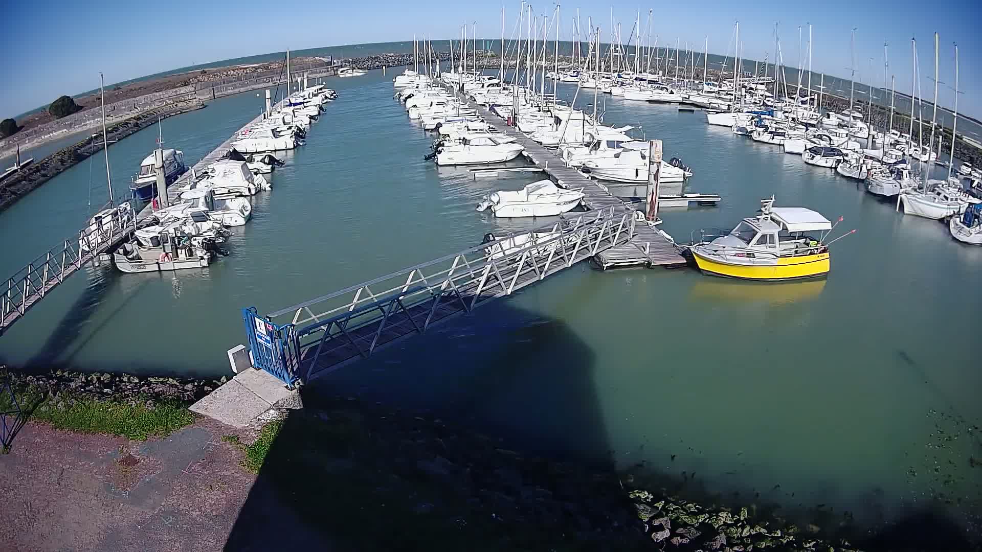 A marina filled with numerous sailboats and motorboats on a sunny day, with a small yellow motorboat near a metal walkway leading to a dock.
