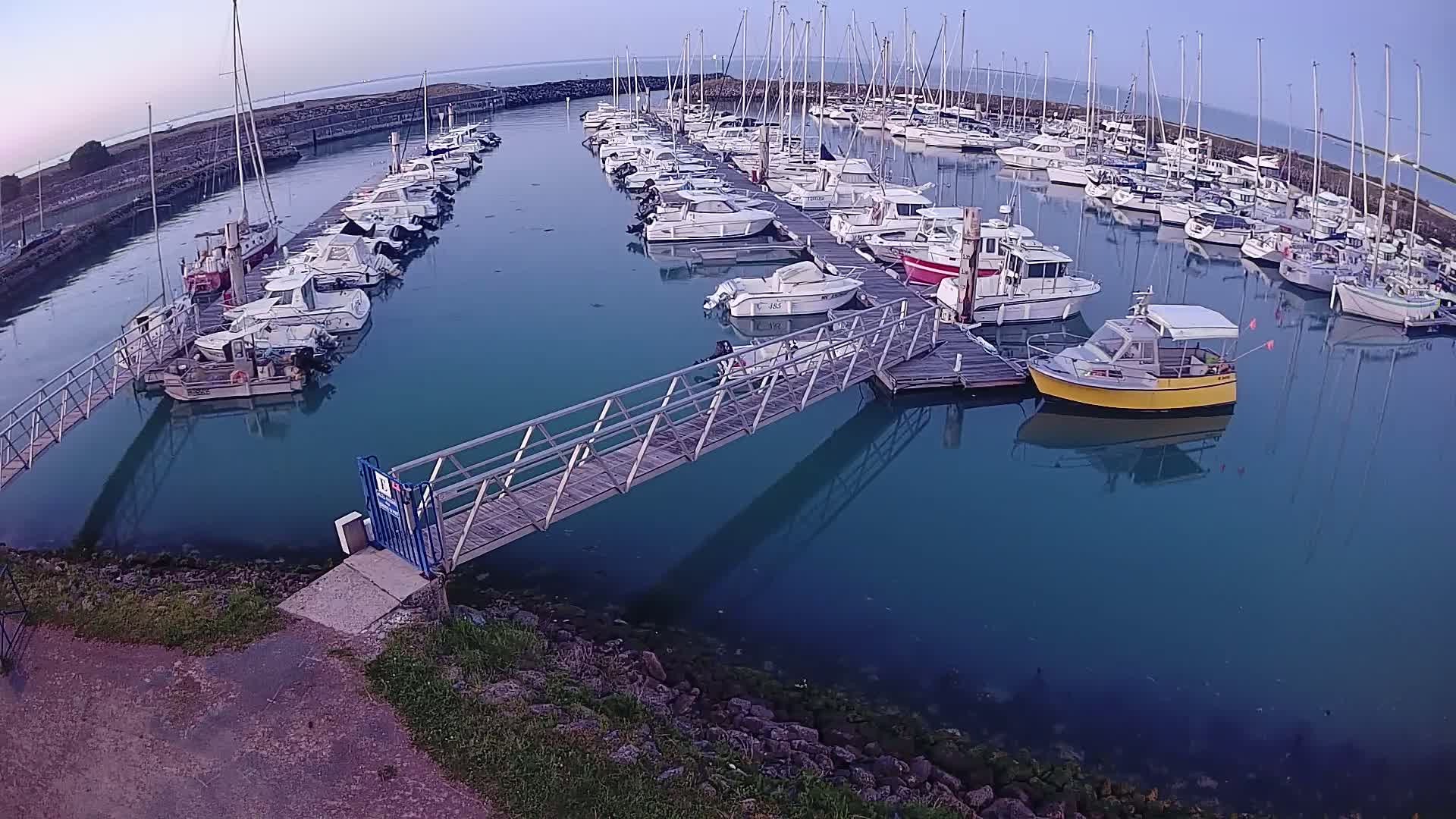 A marina filled with numerous boats docked alongside piers in calm, teal-colored water under a clear, twilight sky.