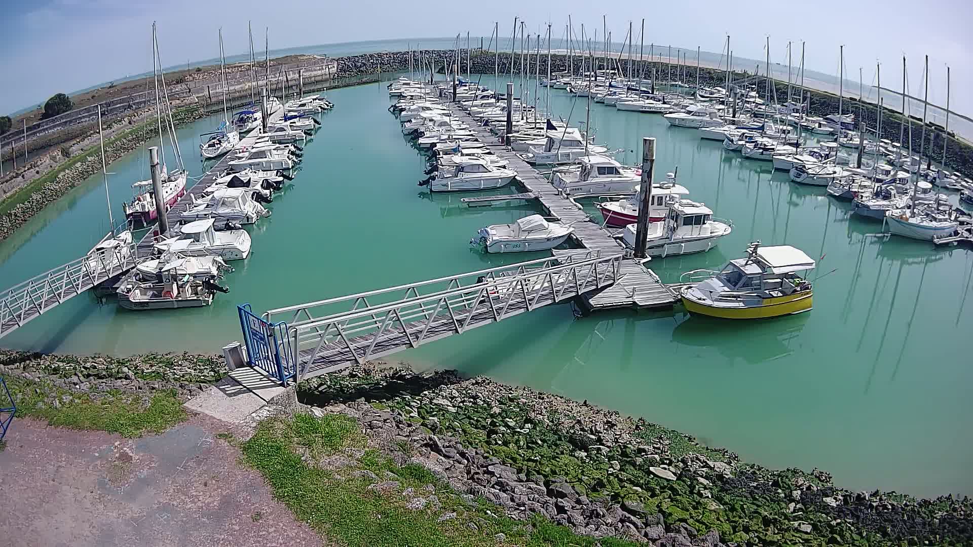 A marina filled with numerous sailboats and motorboats in calm, teal-colored water on a sunny day.