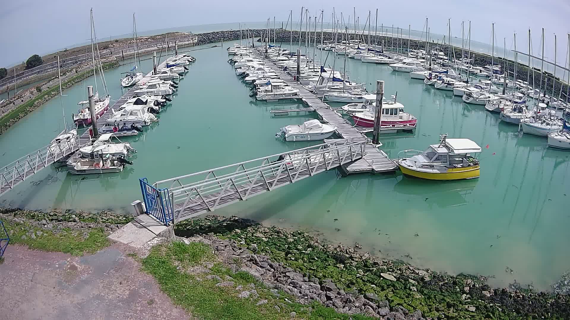 Many boats are docked in a marina on a clear, sunny day.