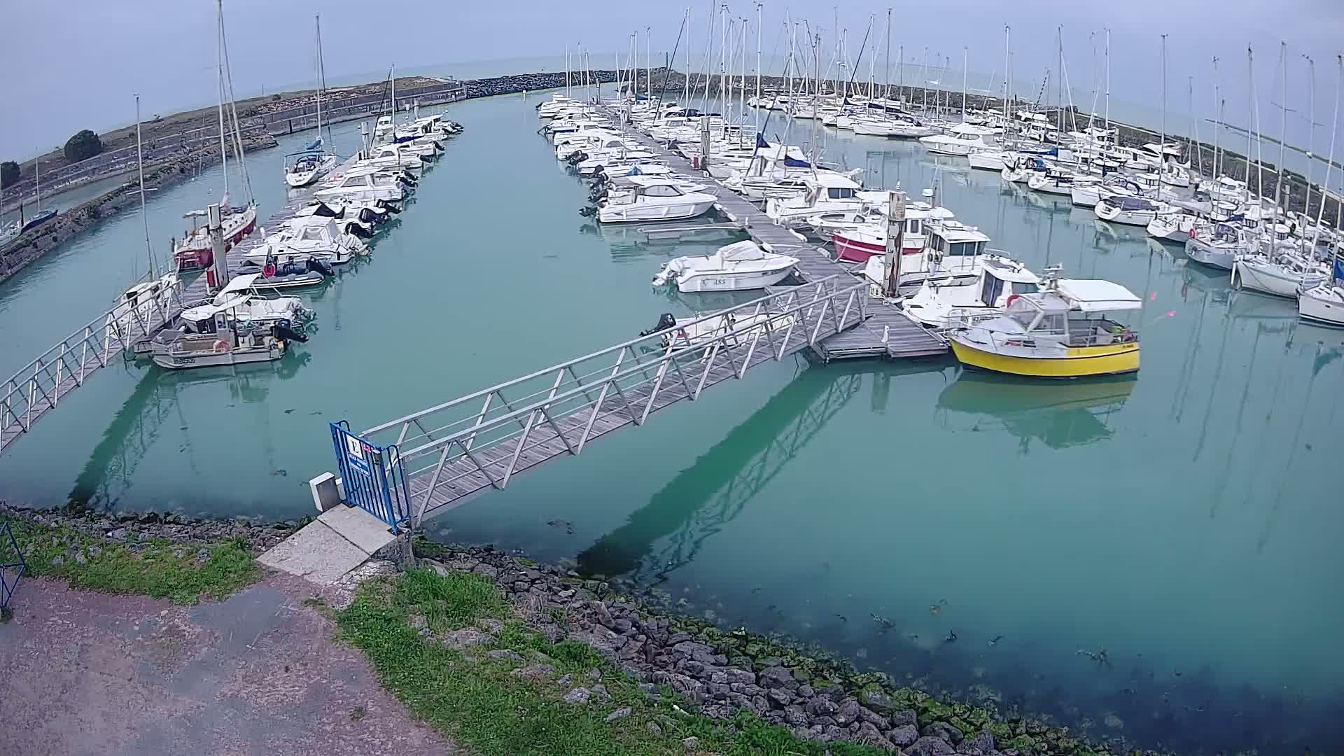 A marina filled with numerous boats of varying sizes is seen from an aerial perspective, under an overcast sky, the calm teal water reflecting the vessels.
