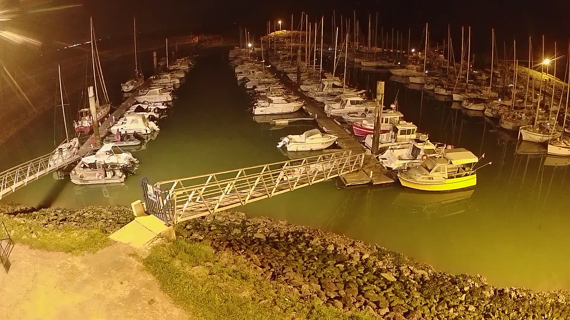 Numerous boats are docked at a marina at night, illuminated by artificial lights, in calm, green-tinged water.