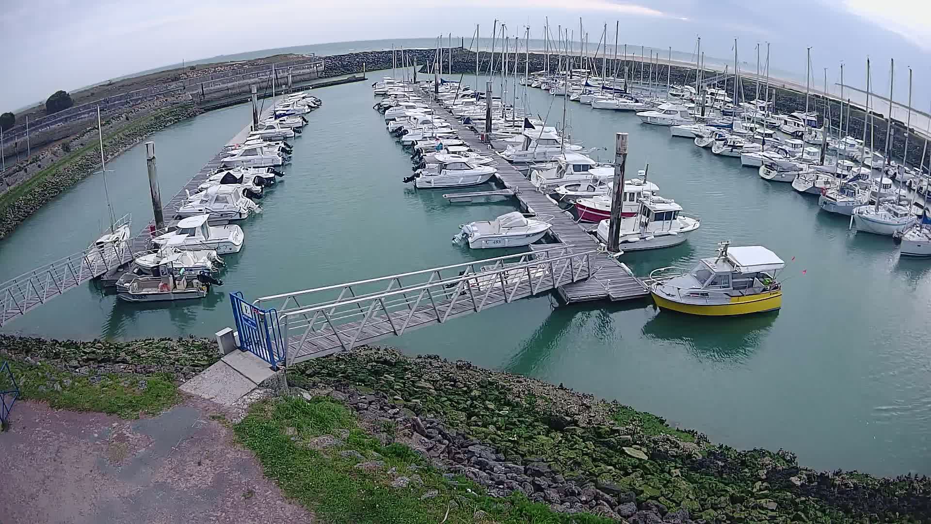 A marina filled with numerous boats of varying sizes under an overcast sky.