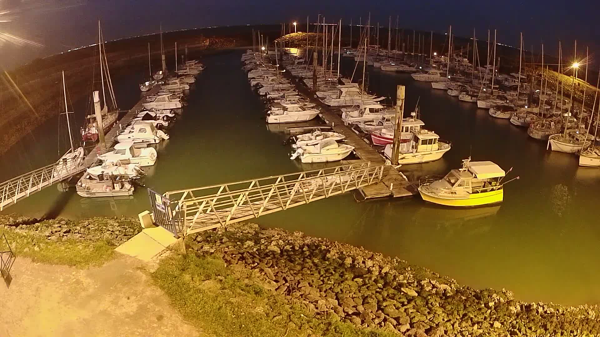 Many boats are moored at a marina at night, illuminated by artificial lights.