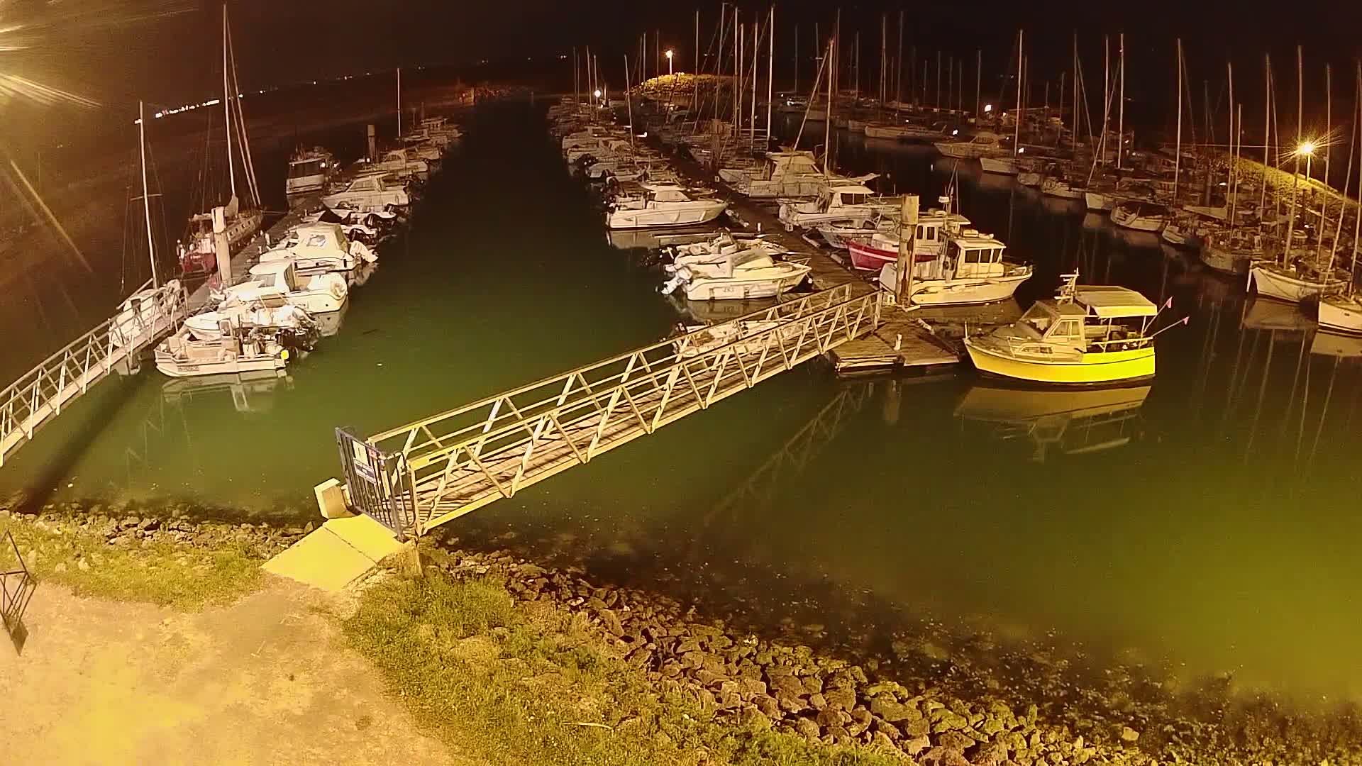 A marina at night, filled with numerous boats docked along piers, is illuminated, with a metal walkway connecting the shore to the water.