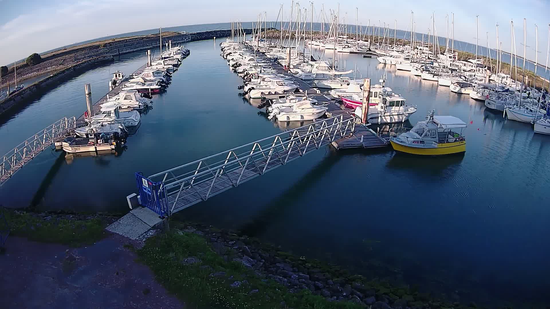 A marina filled with numerous boats of varying sizes, docked along piers under a clear, sunny sky.