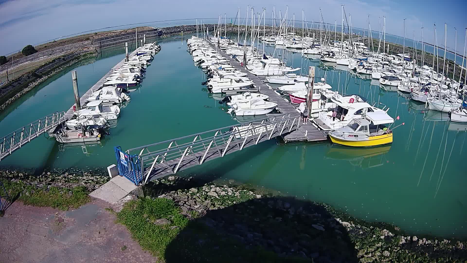 A marina filled with numerous sailboats and motorboats under a clear, sunny sky.