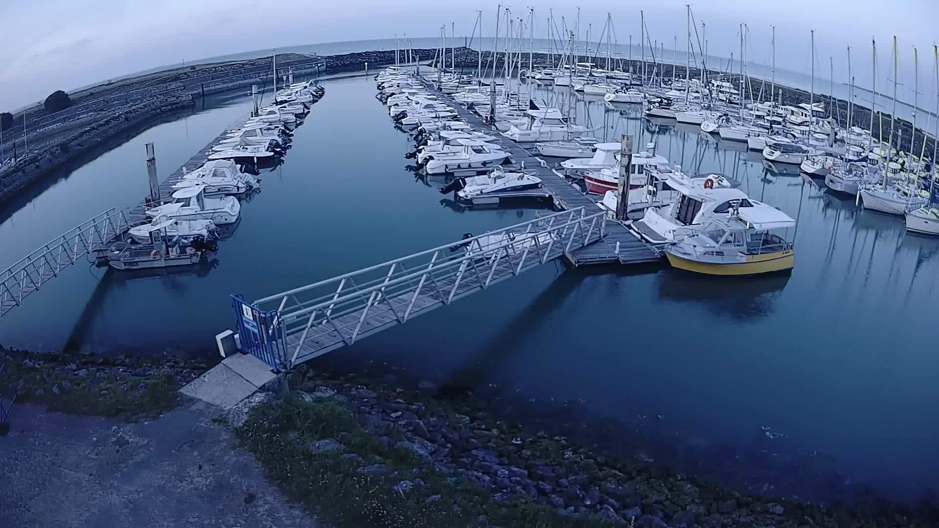 A marina filled with numerous boats on a calm, overcast day.