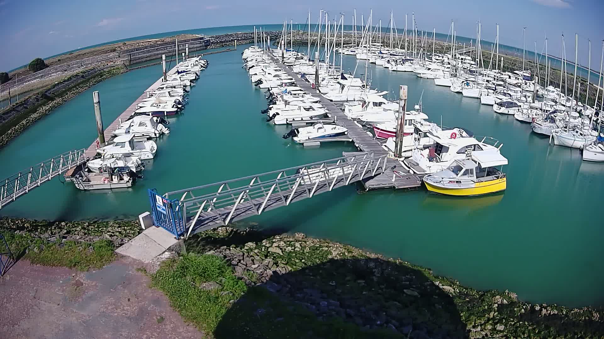 A marina filled with numerous boats of varying sizes is seen on a sunny day, with teal-colored water surrounding the docks and a metal footbridge connecting to the land.