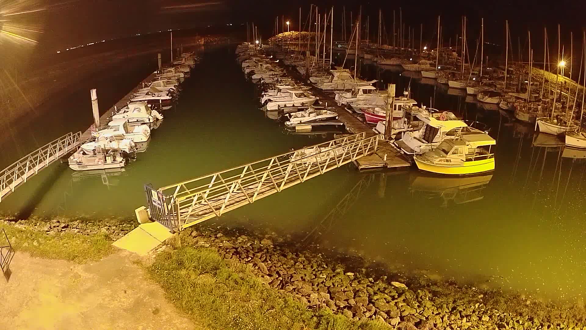 A marina at night, filled with numerous boats docked along piers, illuminated by artificial light, with calm, greenish water.