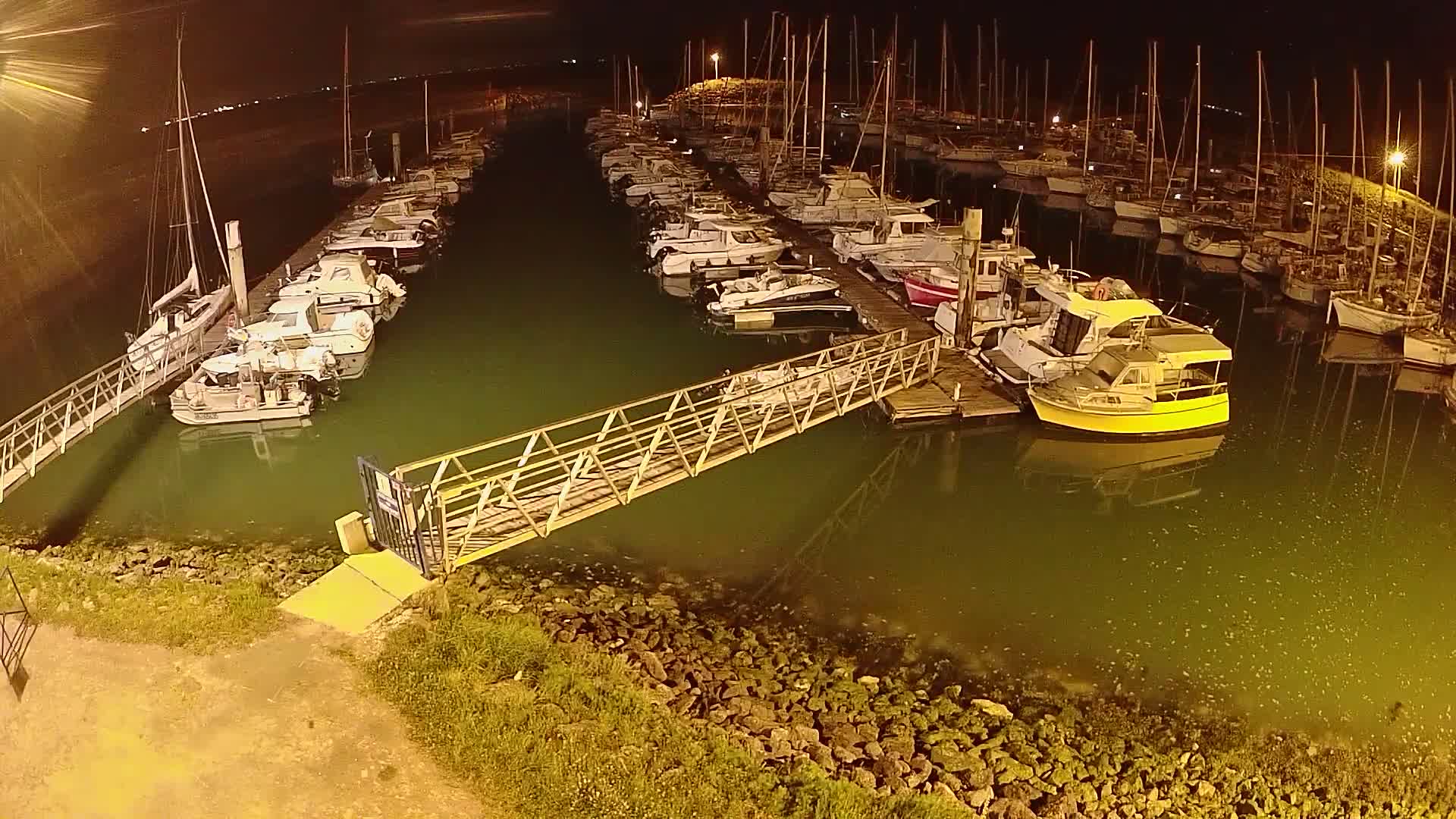A marina at night with numerous boats docked along several piers, illuminated by artificial light, reflecting in the dark green water.