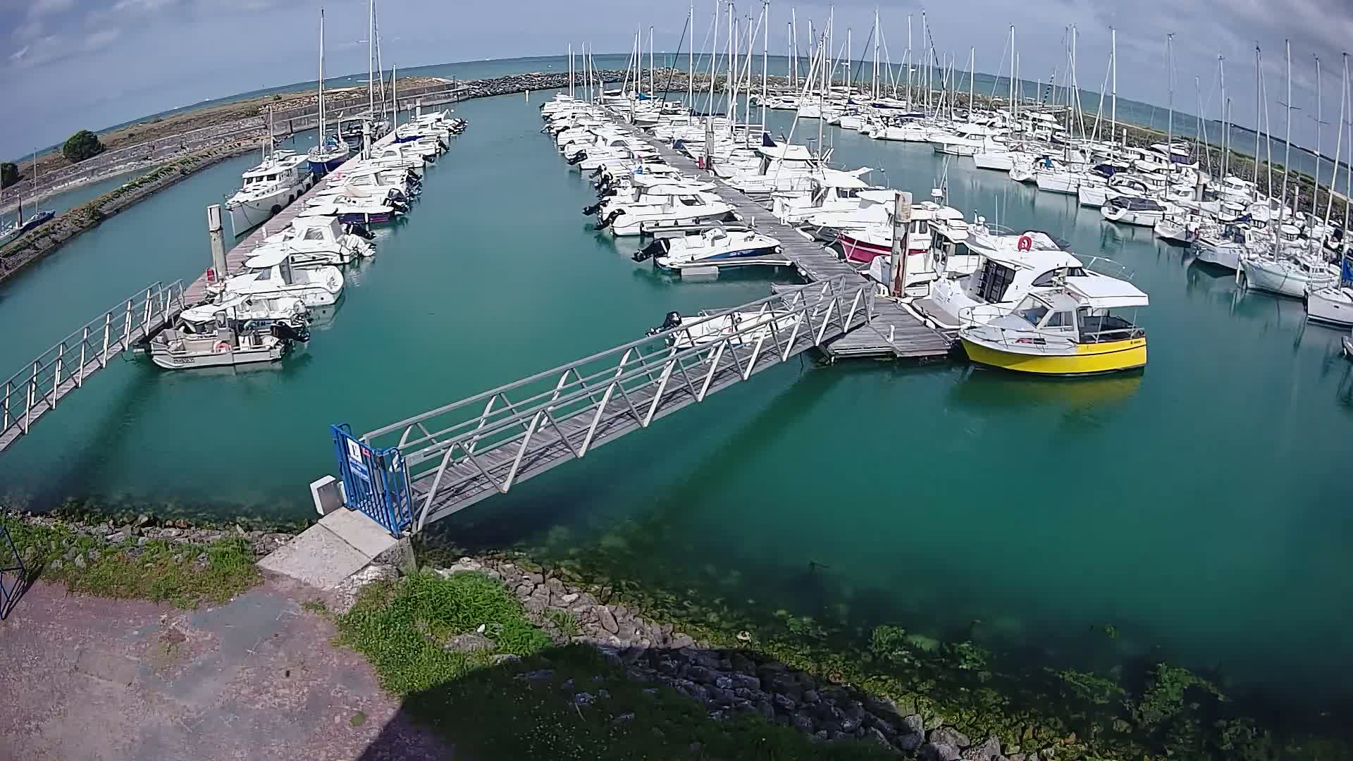 A marina filled with numerous boats and yachts on a sunny day, with teal-colored water.