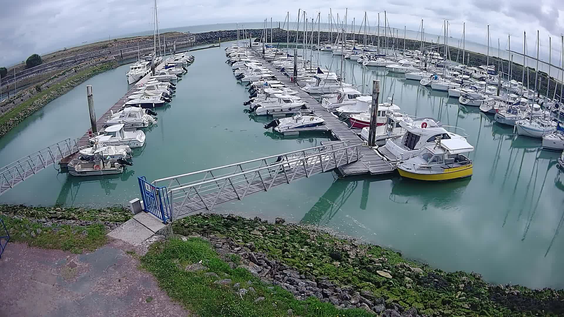 A marina filled with numerous boats on a cloudy day, with calm, green-tinged water and a metal walkway leading to a dock.