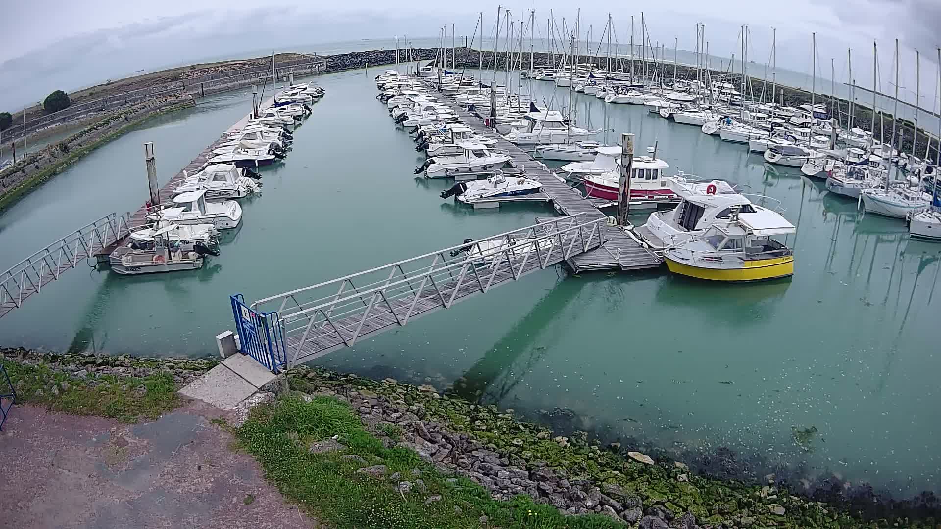 A marina filled with numerous boats of varying sizes under an overcast sky.