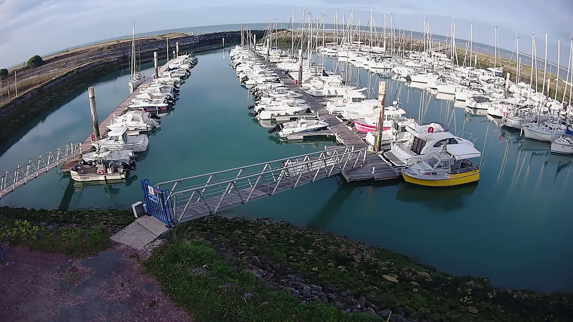 A marina filled with numerous boats on a calm, sunny day.