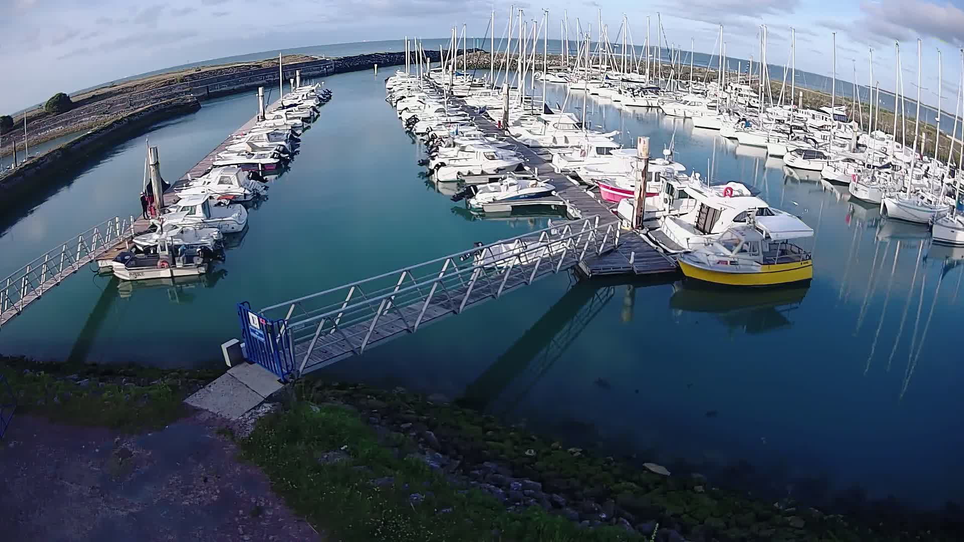 A marina filled with numerous sailboats and motorboats on a calm, sunny day.