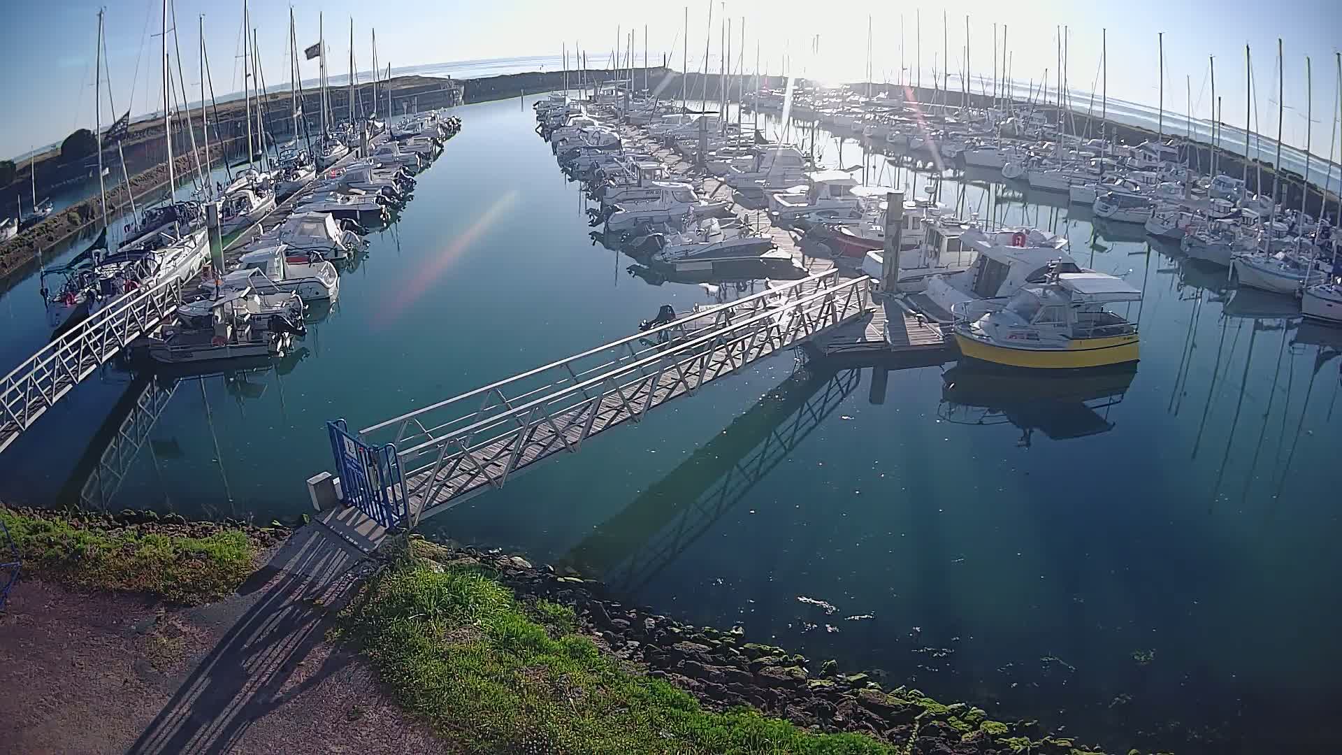 A calm marina filled with numerous sailboats and motorboats on a sunny day, connected by a metal walkway.