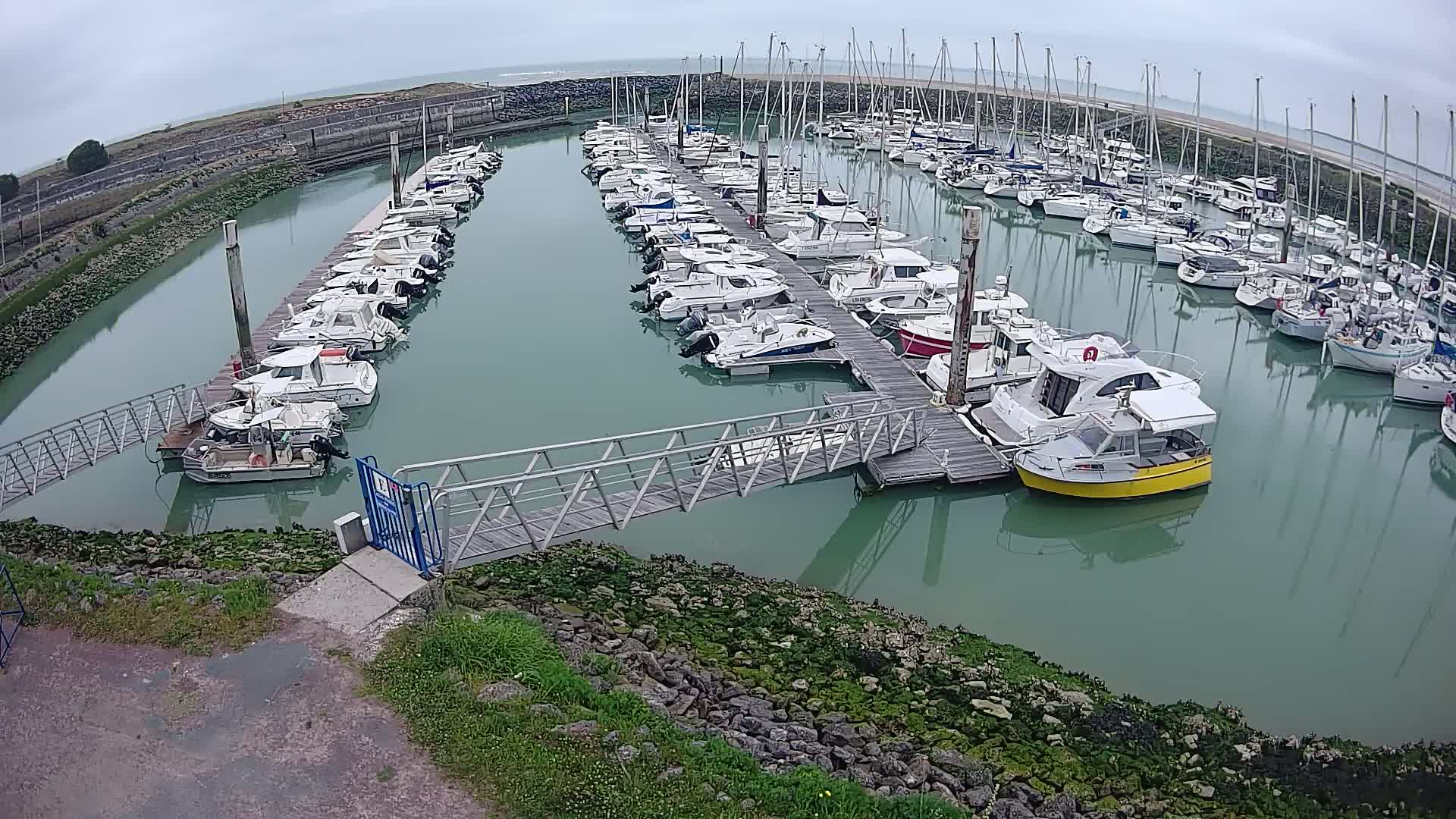 A marina filled with numerous boats of varying sizes is seen on an overcast day, with calm, green water reflecting the boats and sky.