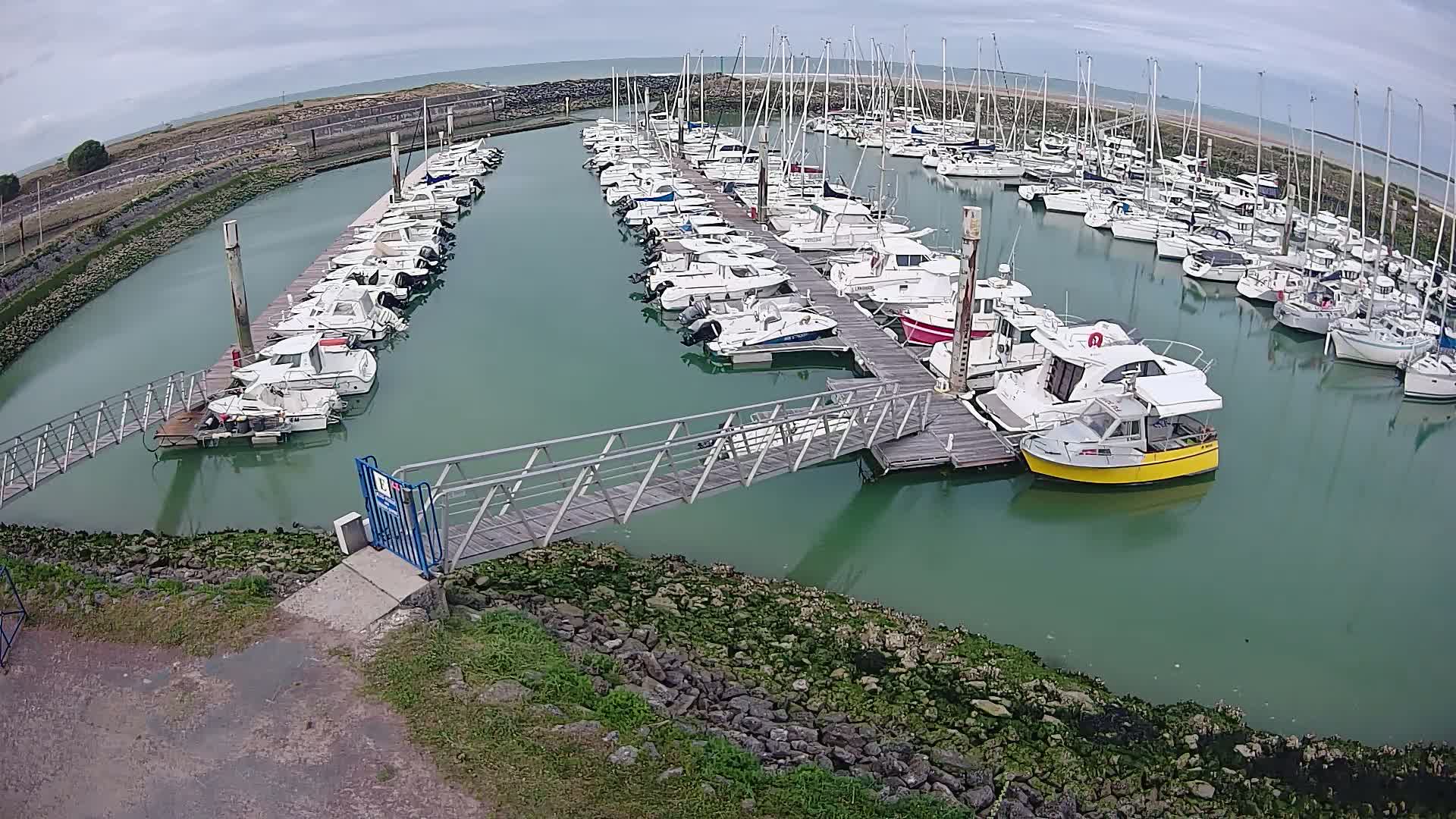 A marina filled with numerous sailboats and motorboats on a calm, overcast day.