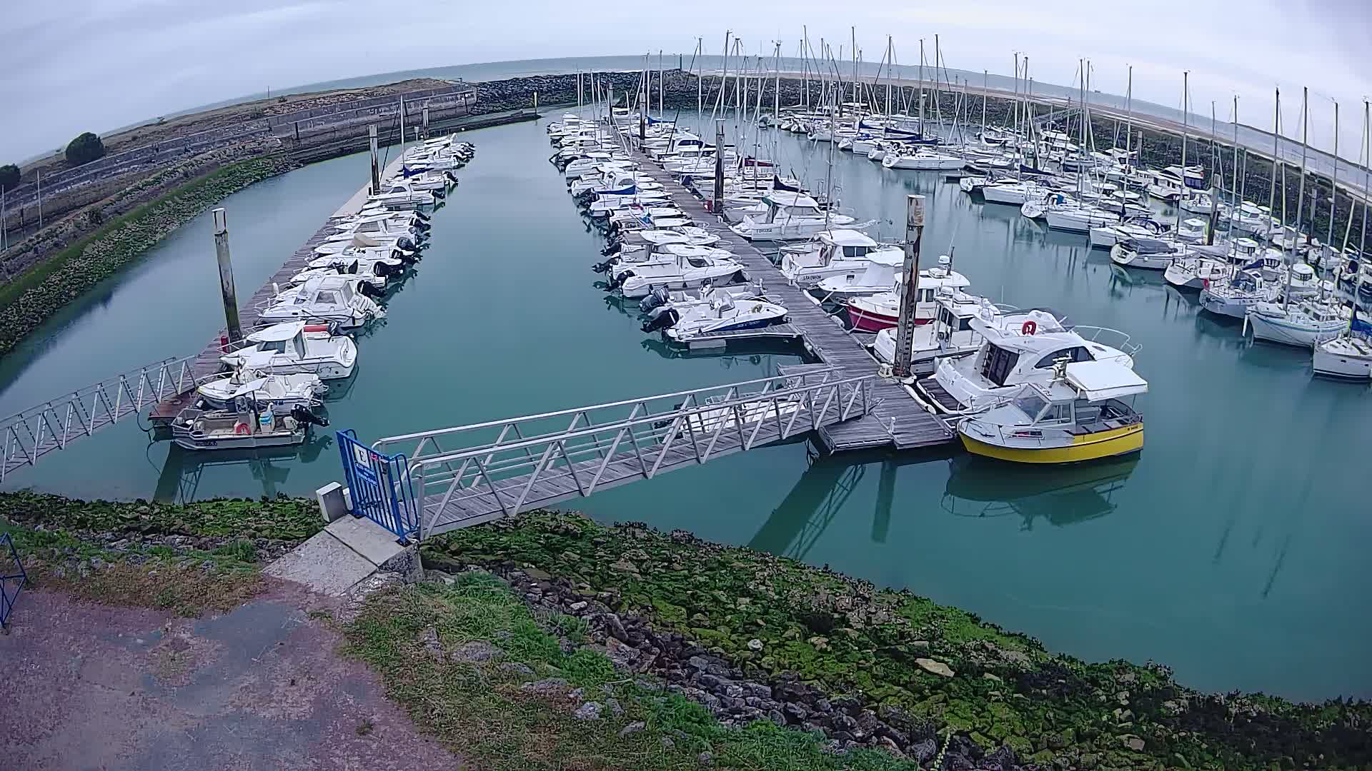 A marina filled with numerous boats of varying sizes is seen on an overcast day, with calm, teal-colored water.