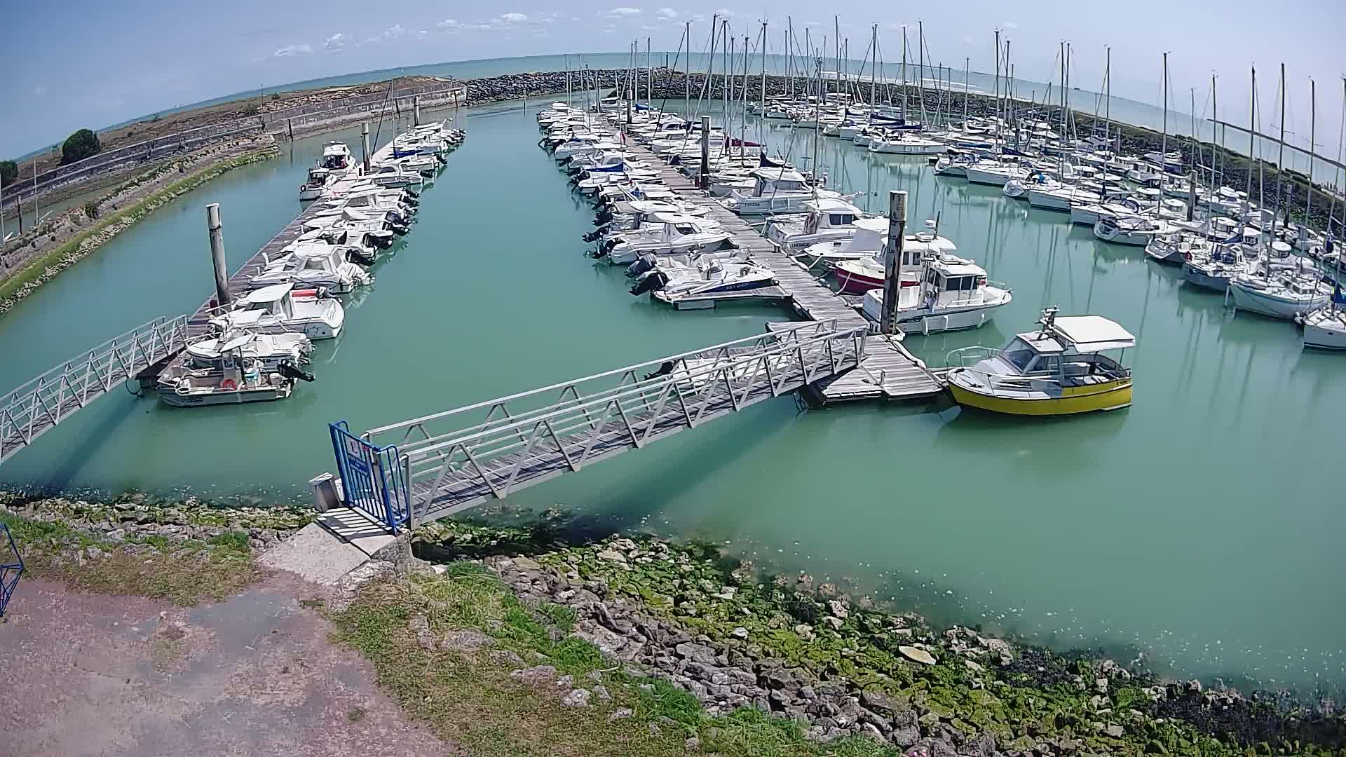 A marina filled with numerous boats of varying sizes under a sunny sky, with calm, teal-colored water.