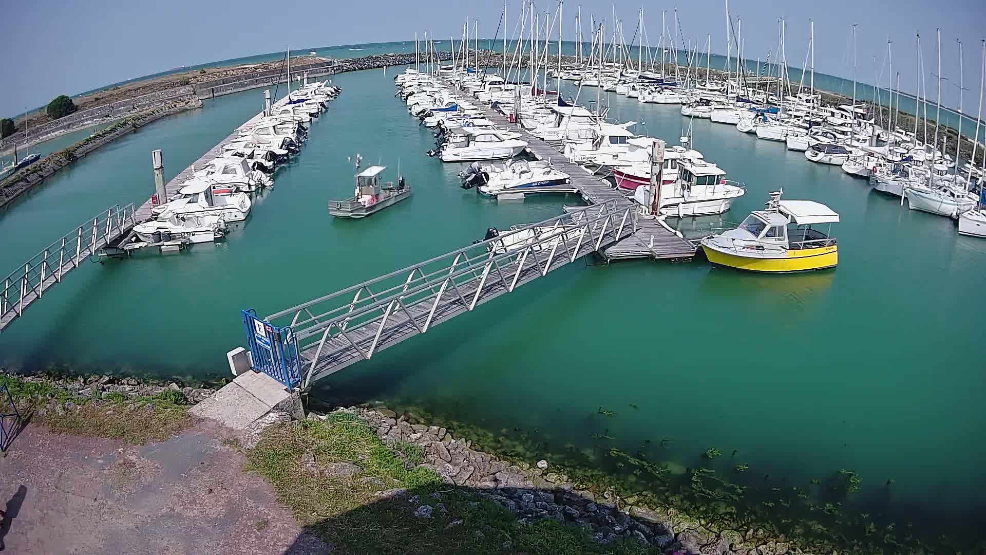 A marina filled with numerous boats and yachts on a sunny day, with teal-colored water.