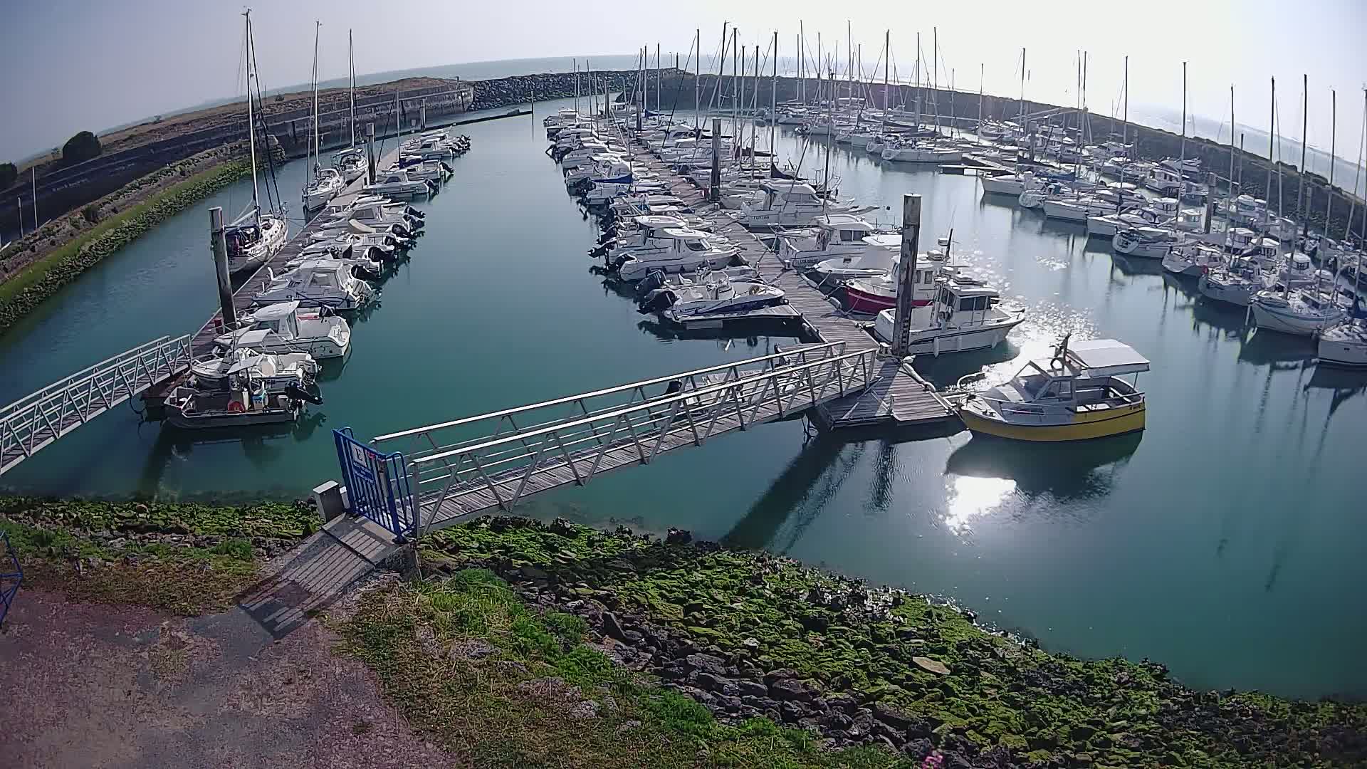 A marina filled with numerous sailboats and motorboats on a sunny day, with a metal walkway leading to a dock.