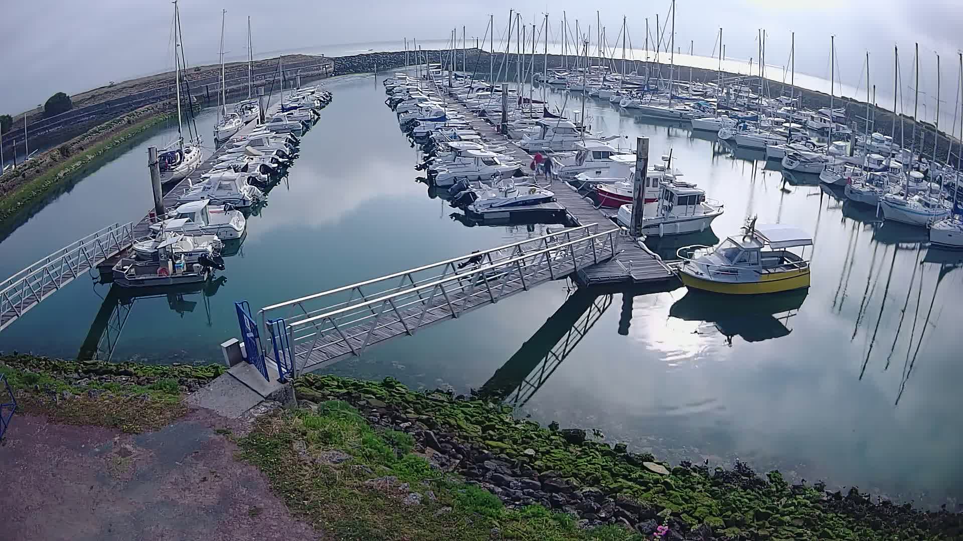 A calm marina filled with numerous boats on a mostly clear day, with a metal walkway leading to a dock.