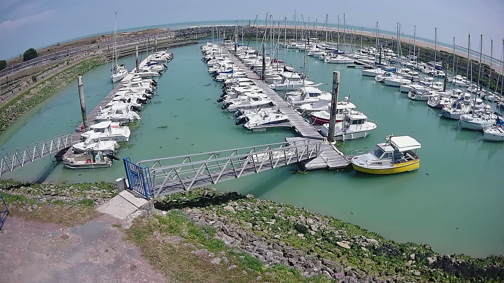 A marina filled with numerous boats of varying sizes is seen on a sunny day, with calm, teal-colored water surrounding the docked vessels and a metal footbridge connecting the land to a floating dock.