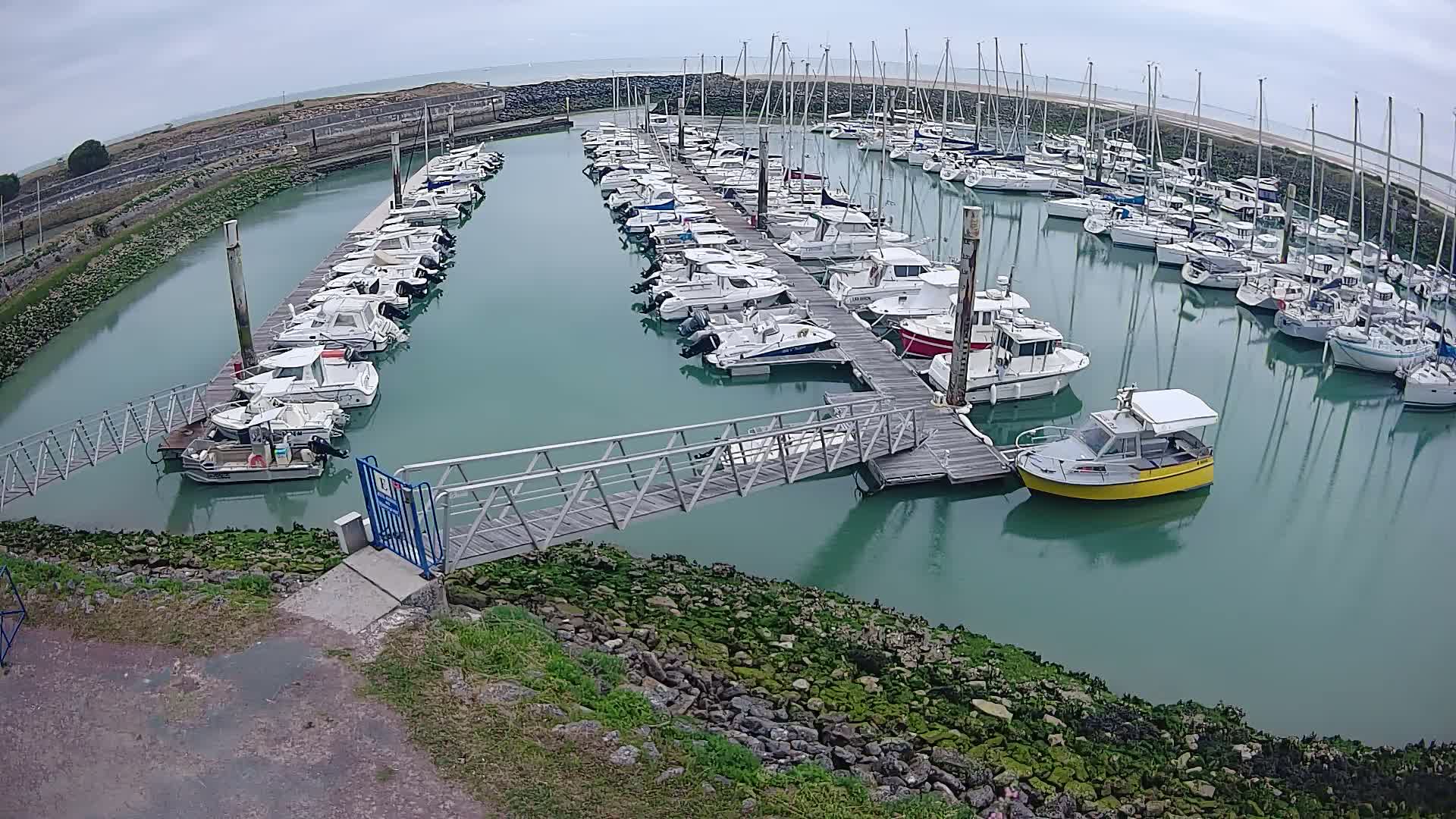 A marina filled with numerous boats of varying sizes is seen on a cloudy day, with calm, teal-colored water surrounding the docked vessels and a metal walkway leading to a pier.