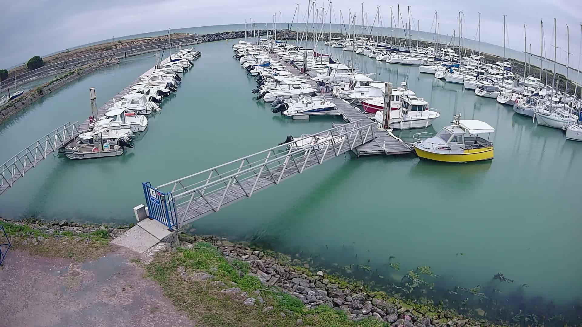 A marina filled with numerous boats of various sizes is seen under an overcast sky, with a metal walkway extending from the shore to a dock.