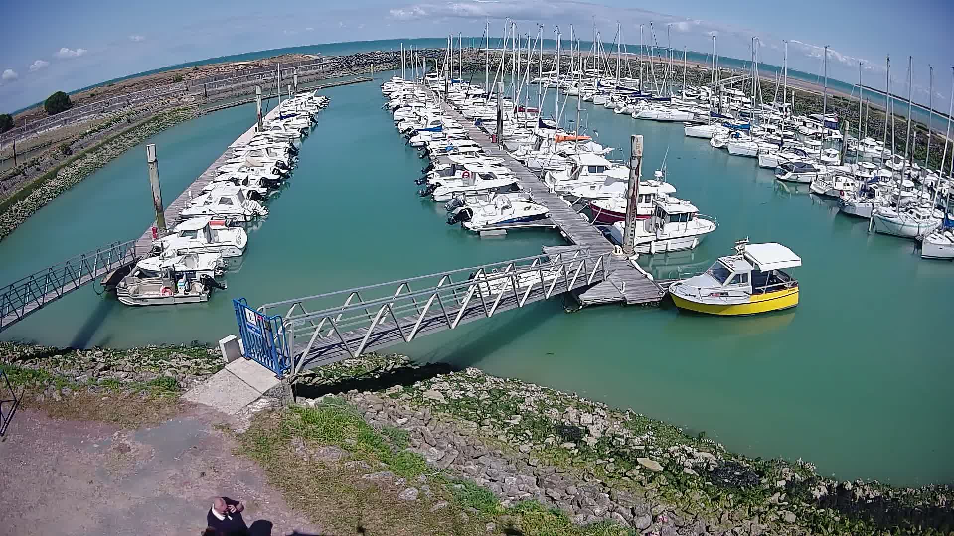 A marina filled with numerous boats of varying sizes on a sunny day with calm, teal-colored water.