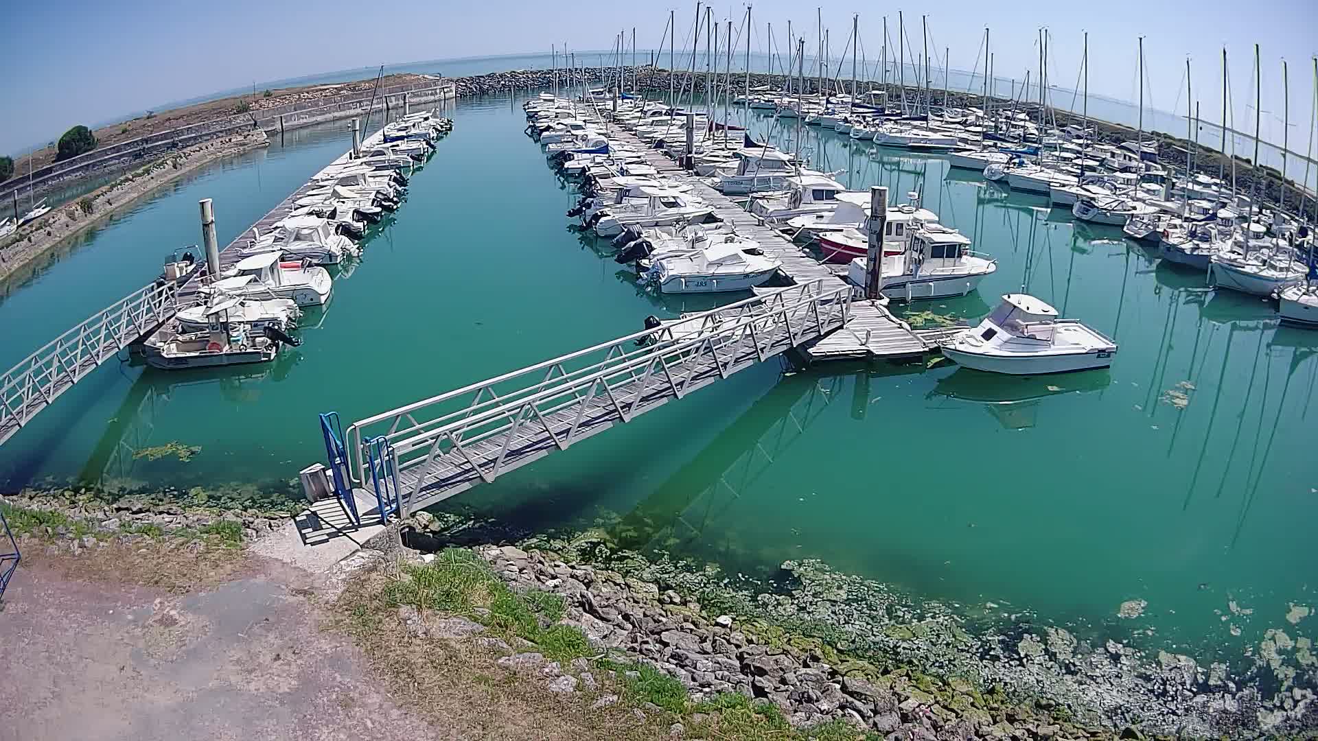 A marina filled with numerous boats of varying sizes on a sunny day, with teal-colored water visible beneath the docks and surrounding the boats.