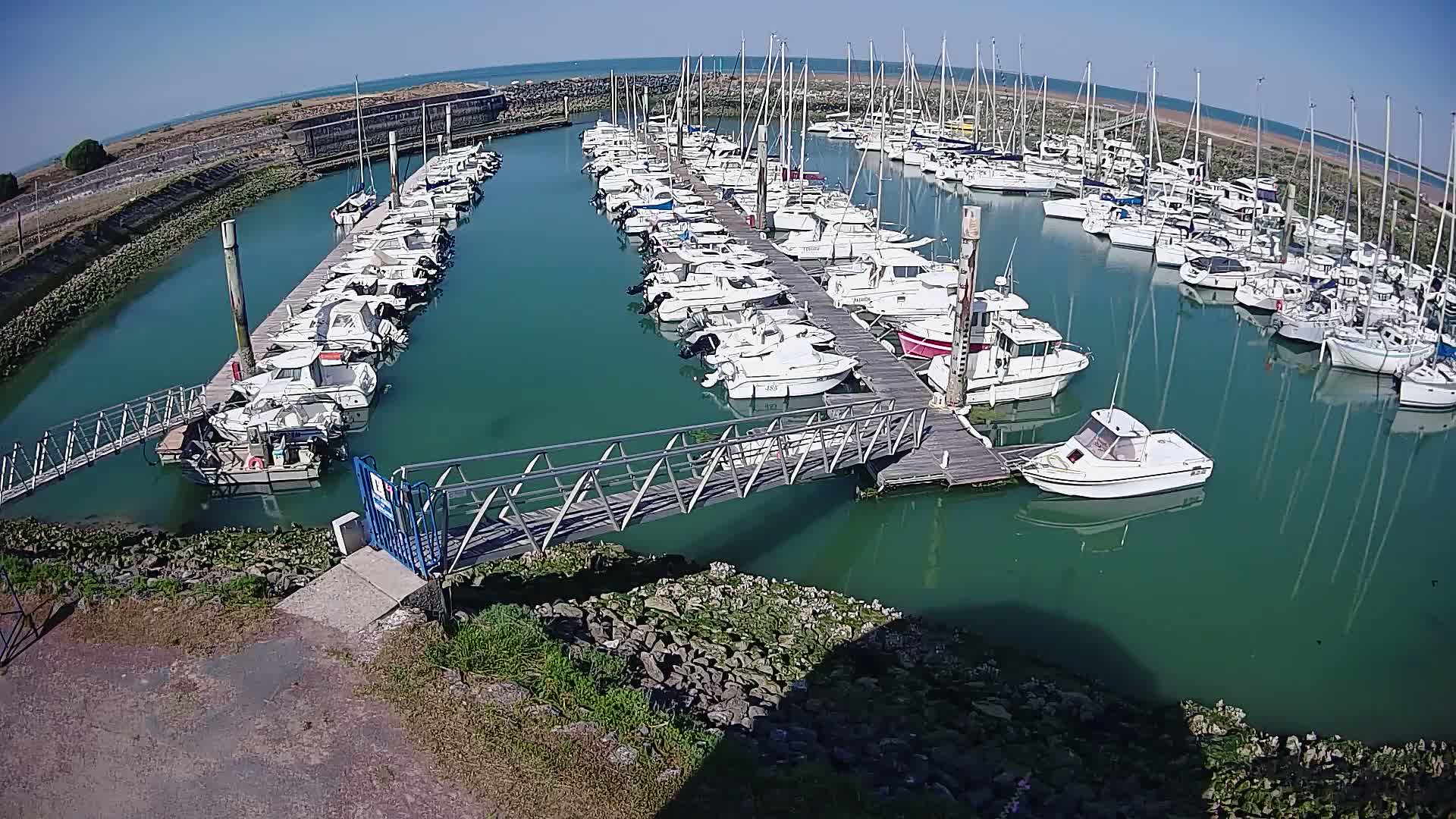 A marina filled with numerous boats of varying sizes is docked along several piers on a sunny day.