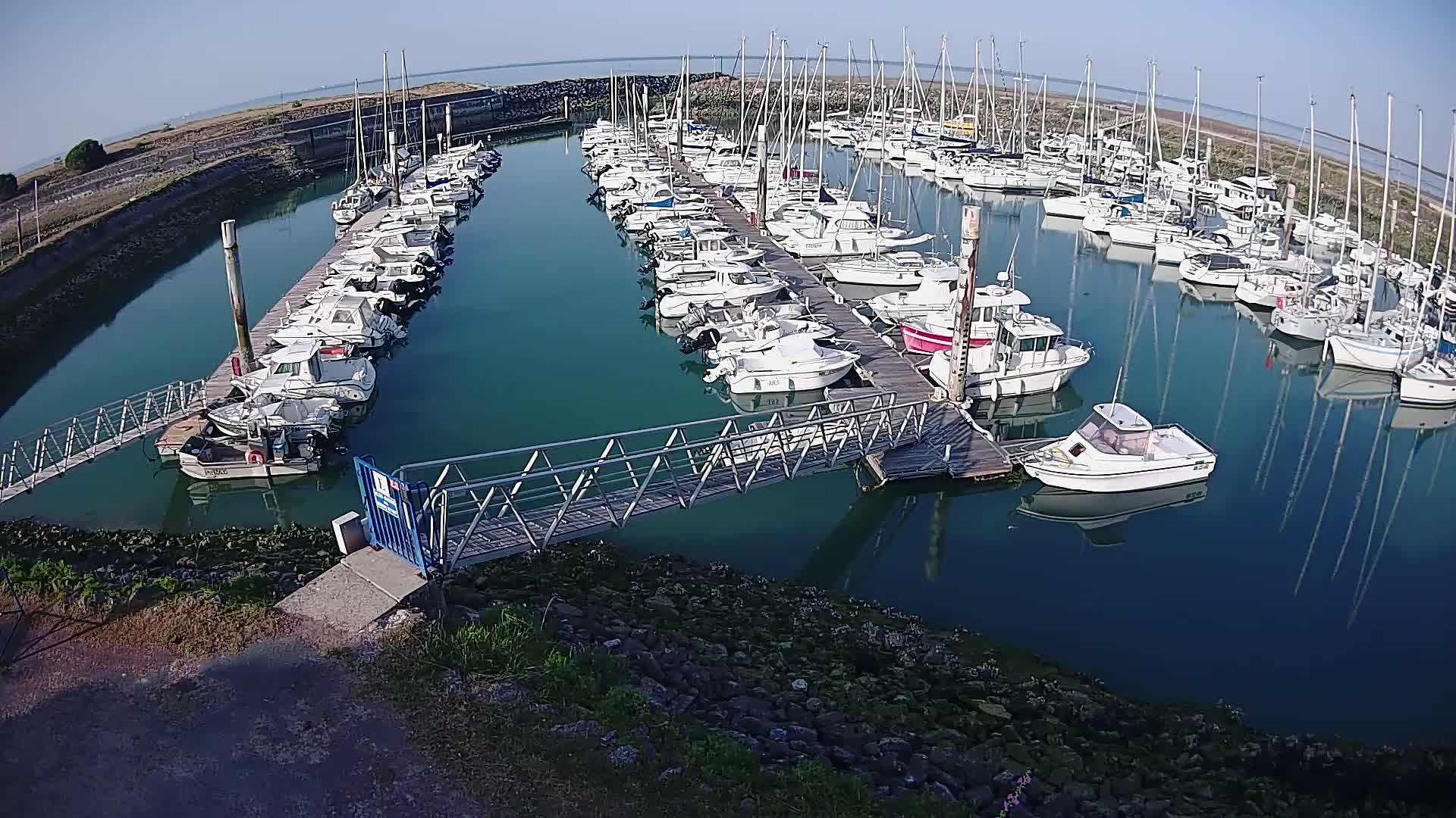 A marina filled with numerous sailboats and motorboats is calm under a clear, sunny sky.