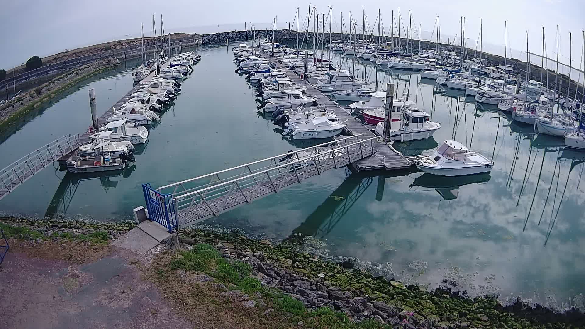 A marina filled with numerous boats on a calm, overcast day.