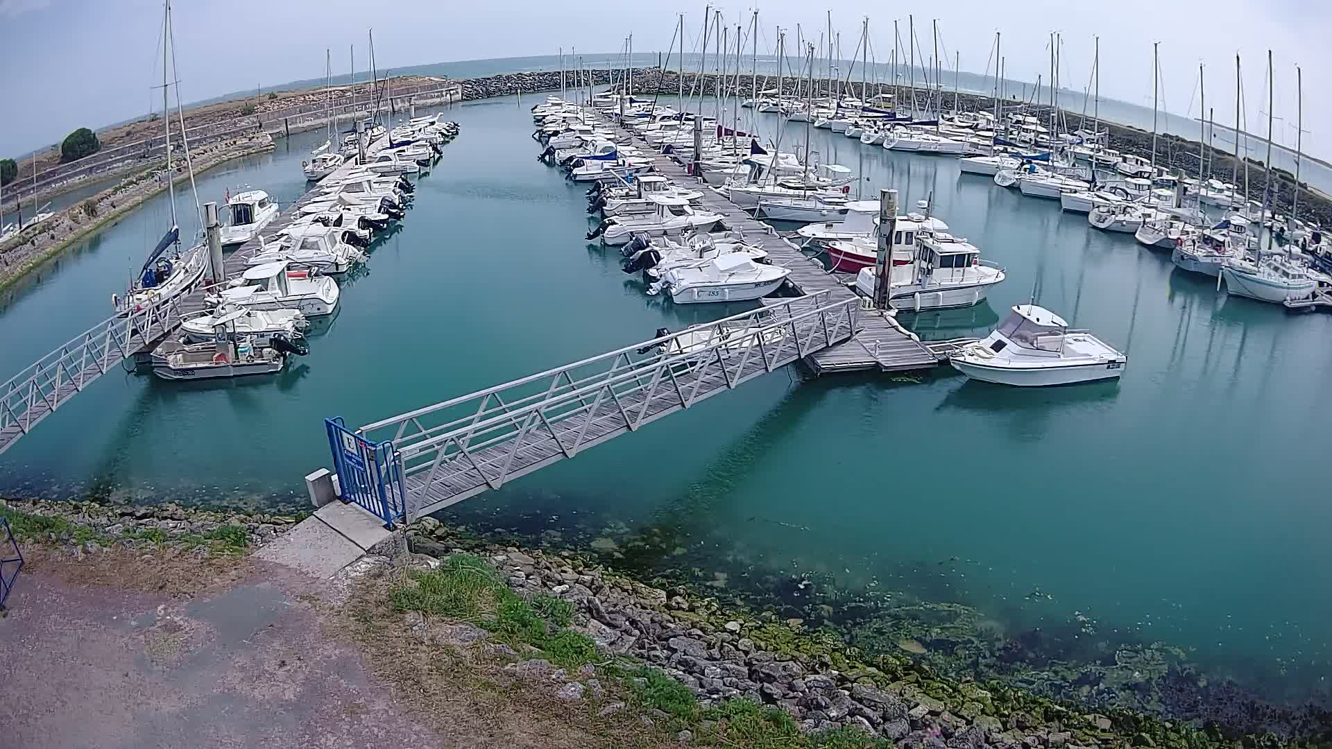 A marina filled with numerous boats on a calm, clear day.