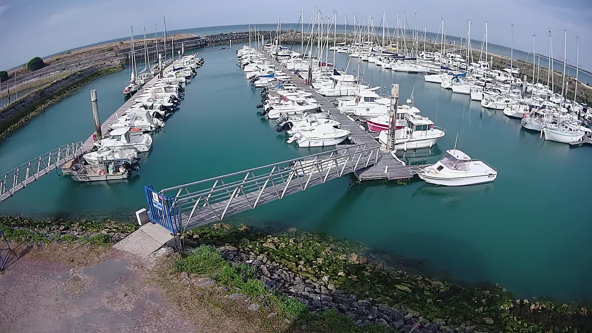 A marina filled with numerous sailboats and motorboats on a sunny day, connected by a metal footbridge to the shore.