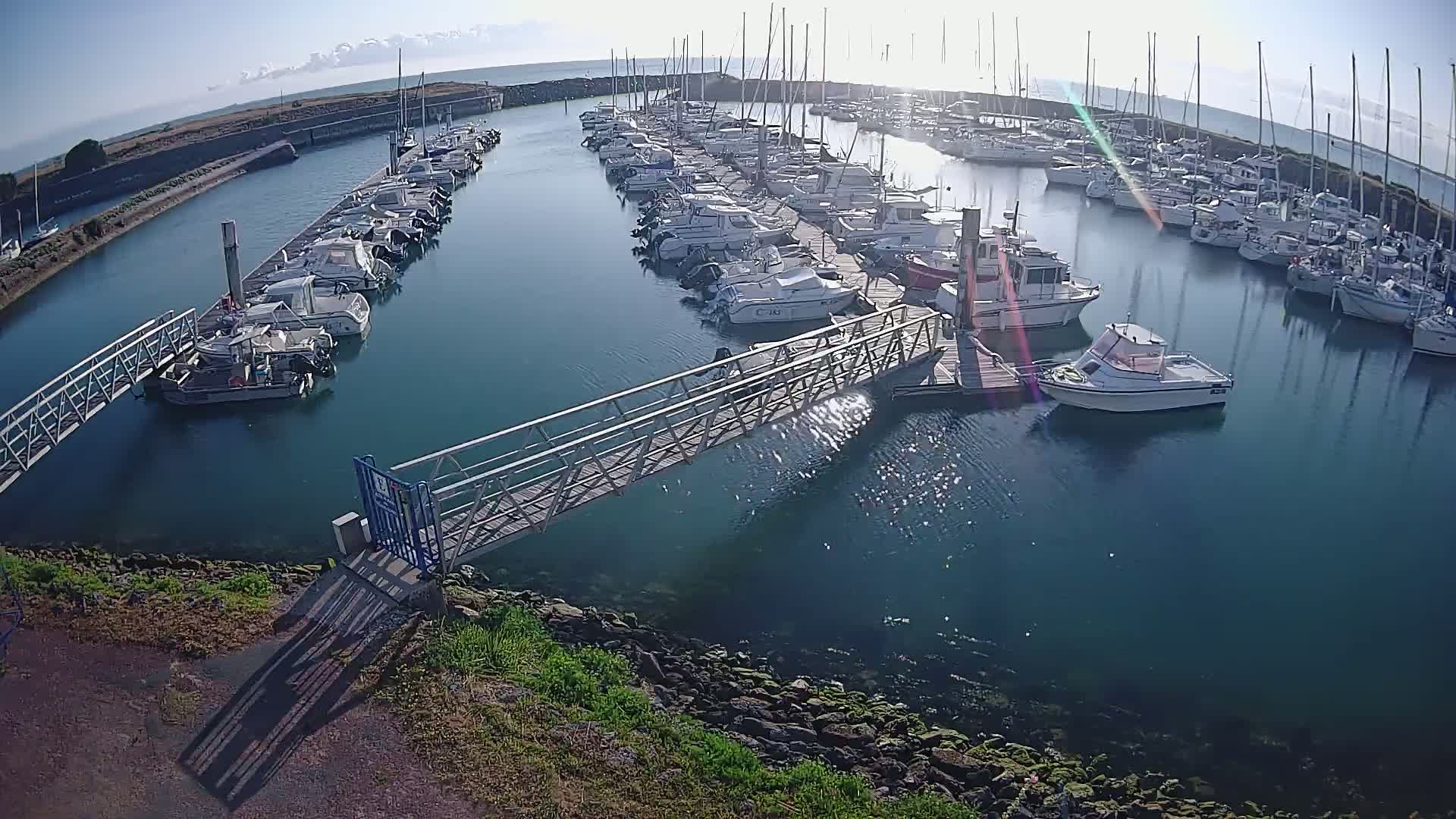 A marina filled with numerous boats on a sunny day, with a metal walkway leading to a dock.