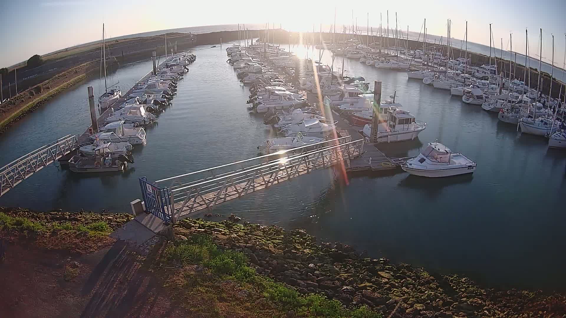 A marina filled with numerous boats of varying sizes is seen at sunrise on a calm day.