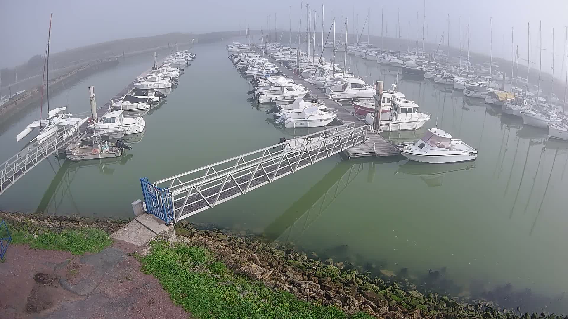 Numerous boats, including sailboats and motorboats, are docked in a bustling marina under a clear, sunny sky, with calm greenish-blue water reflecting the bright conditions.