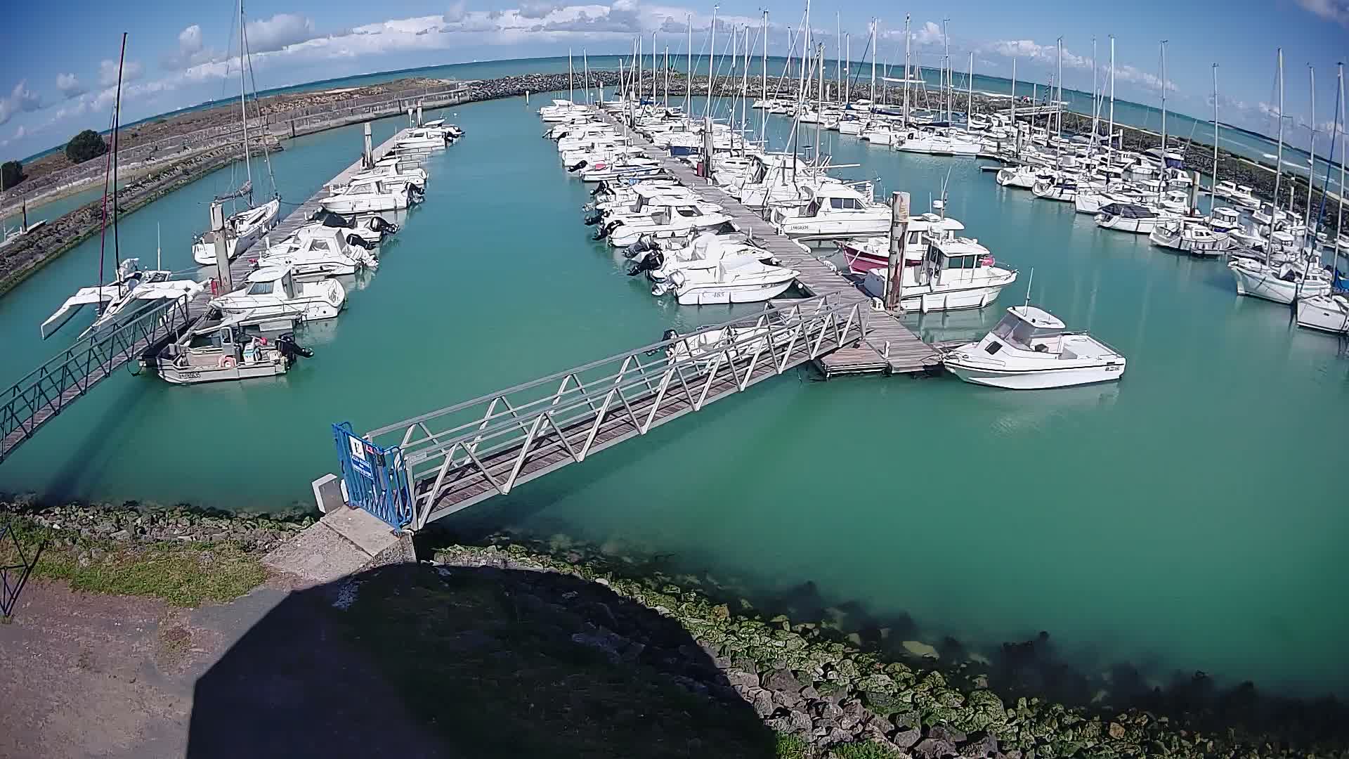 Numerous boats, including sailboats and motorboats, are docked in a bustling marina under a clear, sunny sky, with calm greenish-blue water reflecting the bright conditions.