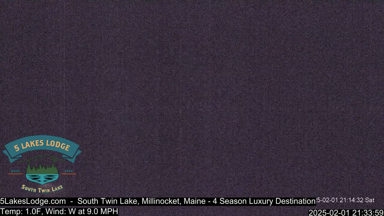 A dark purple, grainy image shows a nighttime outdoor scene.