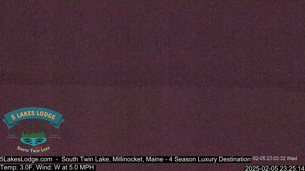 A dark purplish-brown image shows a still, nighttime scene.