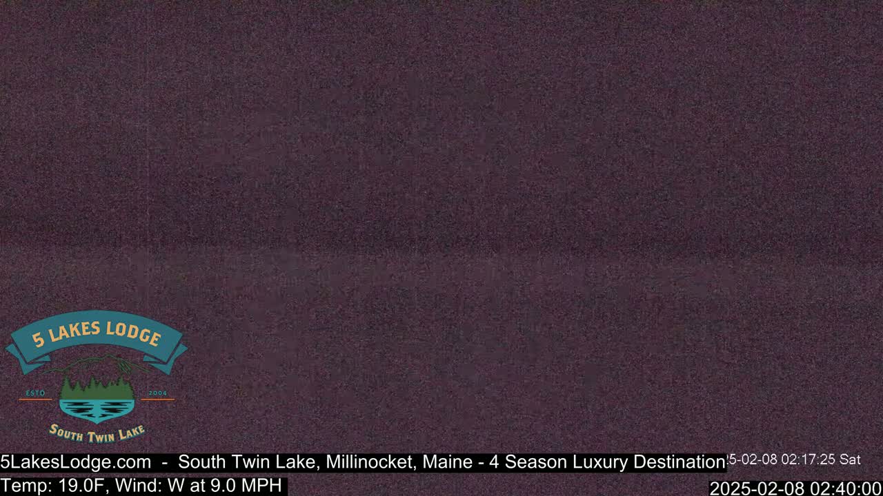 A dark, blurry image shows a mostly solid purplish-gray color.