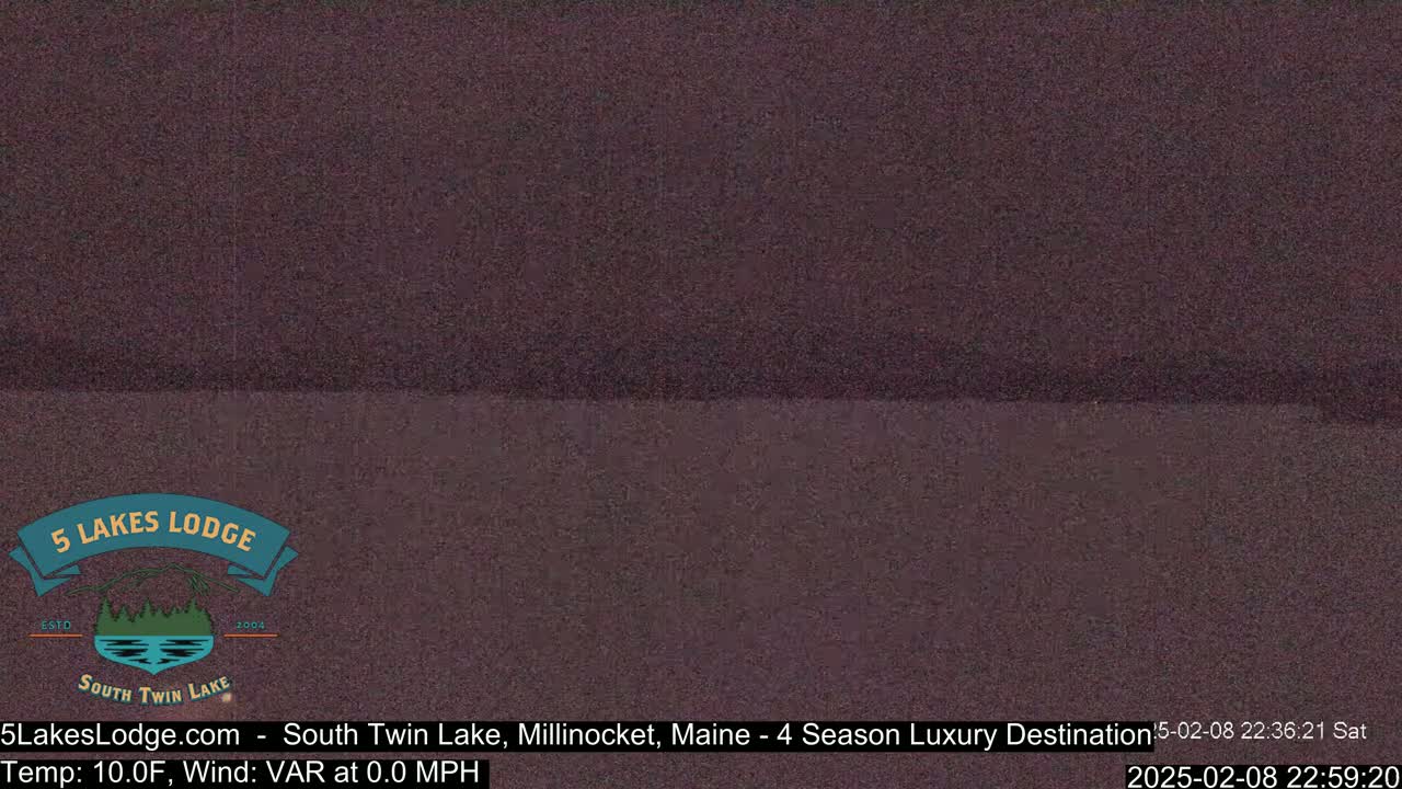 A dark, grainy image shows a mostly uniform dark-brown or purplish-brown surface.